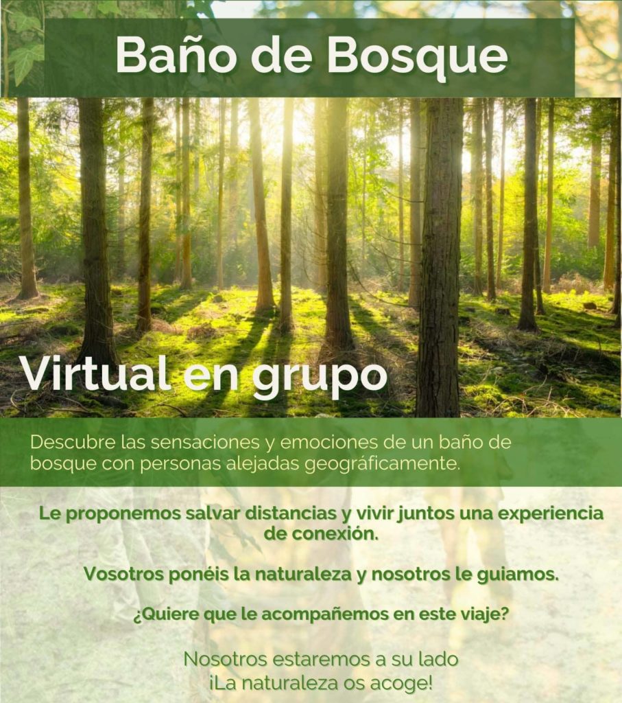 Bano de bosque virtual en grupo