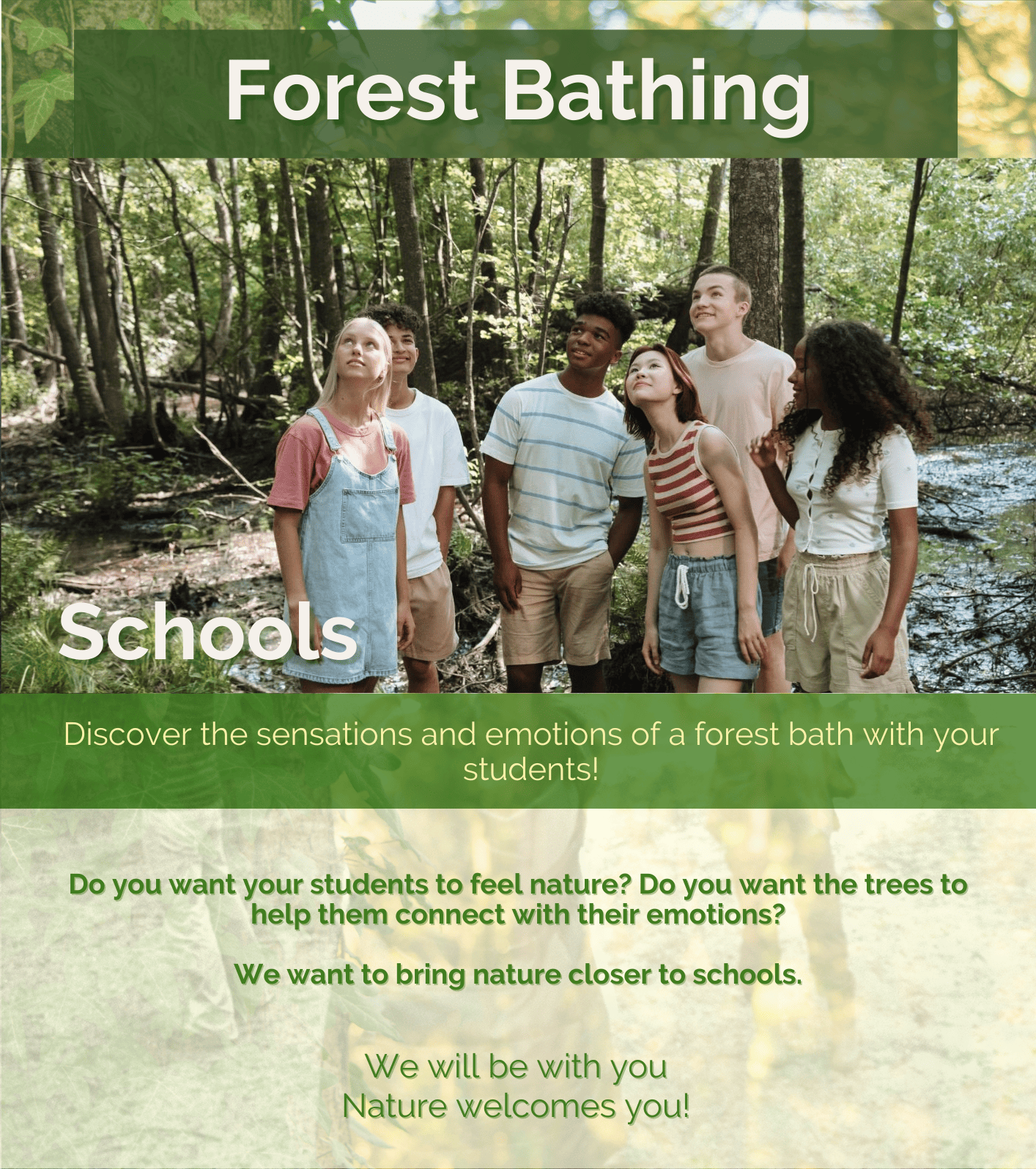 Forest bathing schools