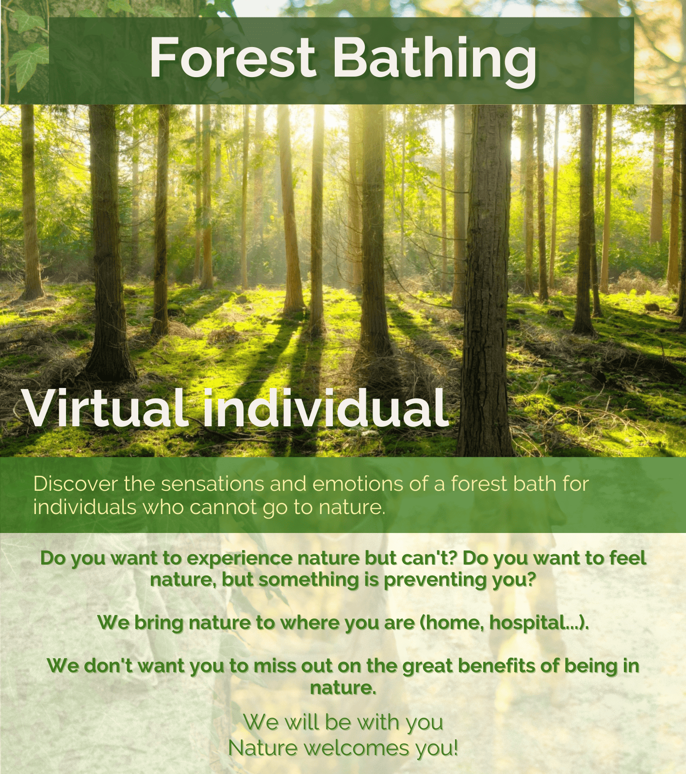 Forest Bathing virtual individual